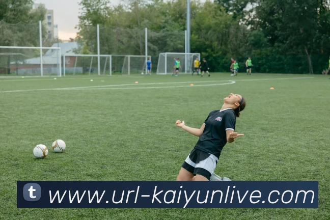 开云体育平台生态图