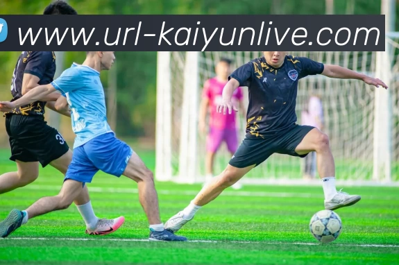 开云体育APP 封面图