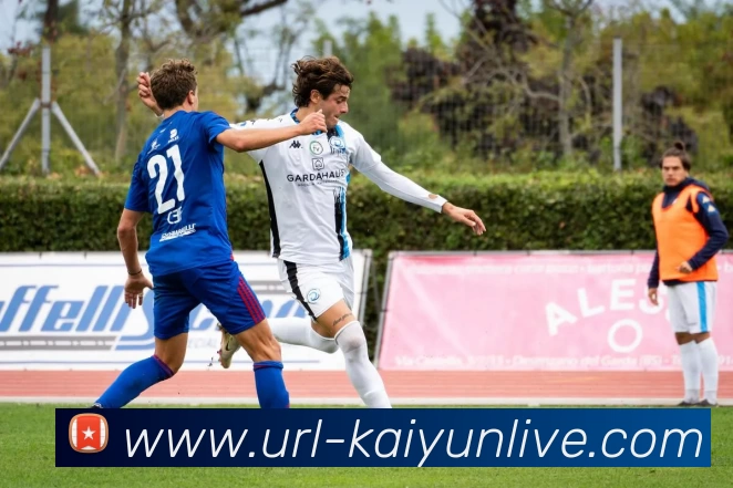 数据防护可视化